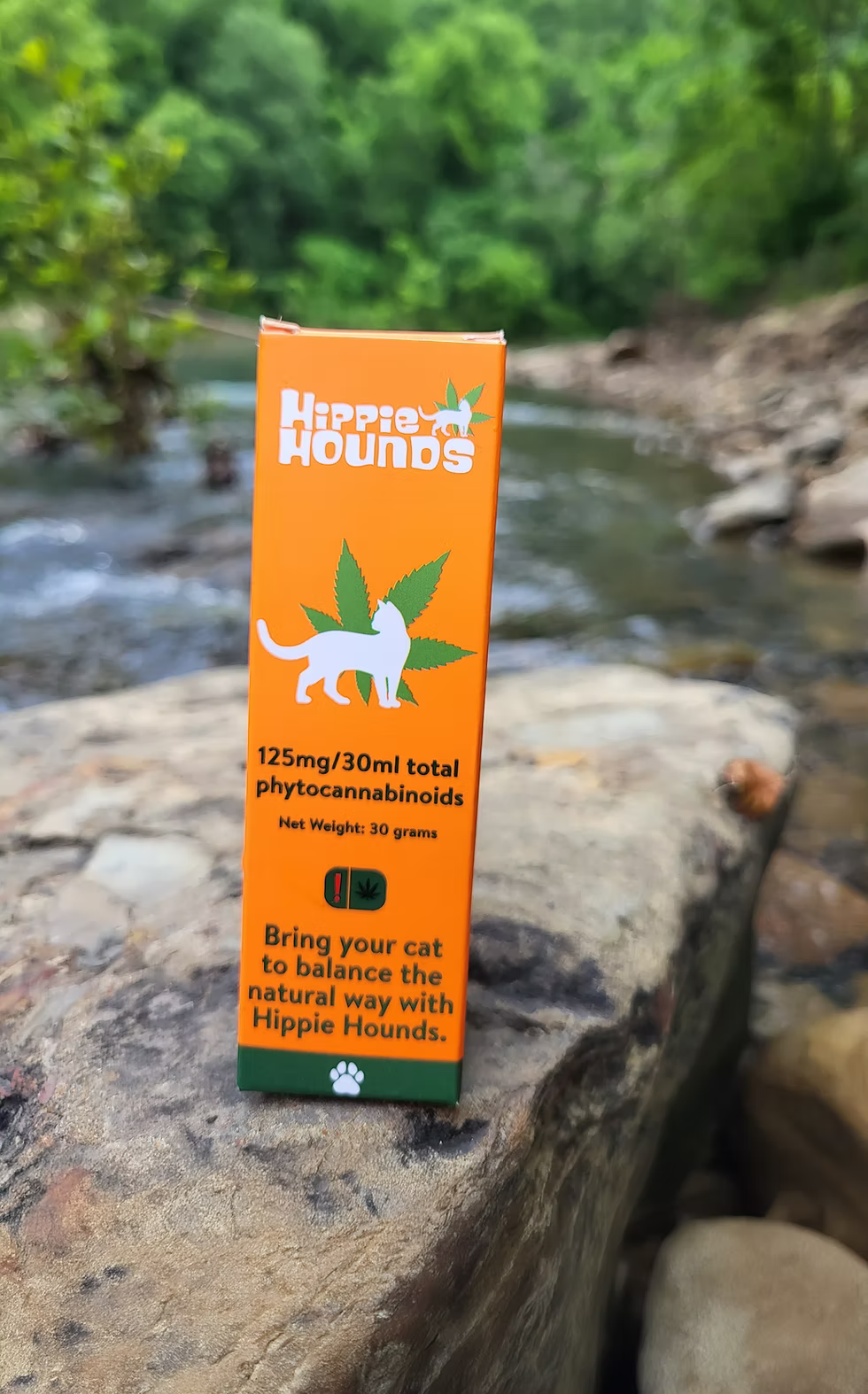 125mg CBD Feline Tincture